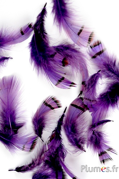 Perdrix - 3-7 cm - violet